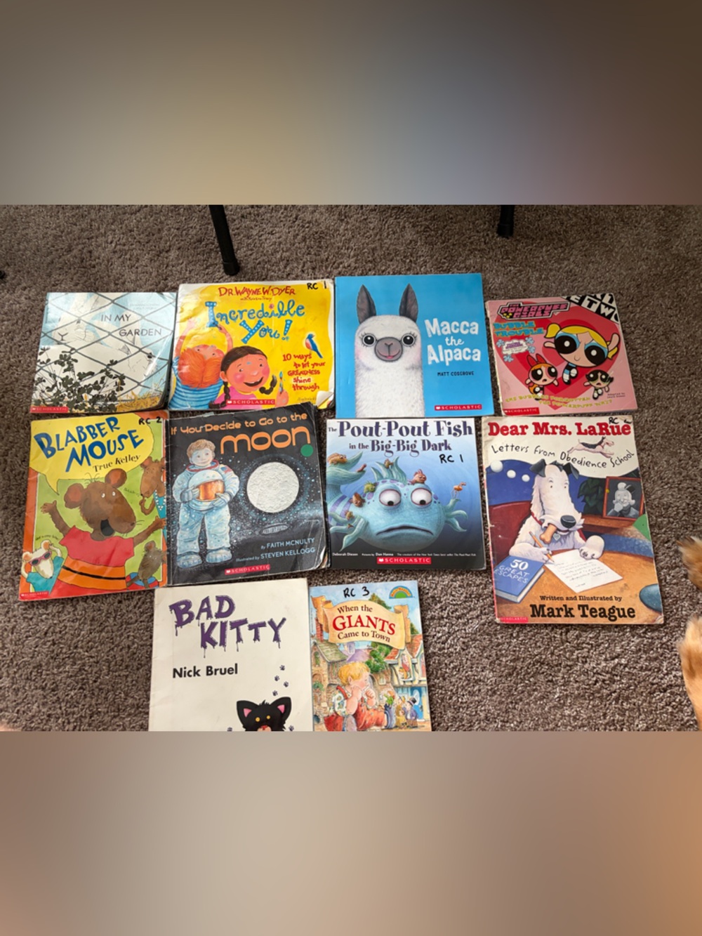 Scholastic Books Lot of 10